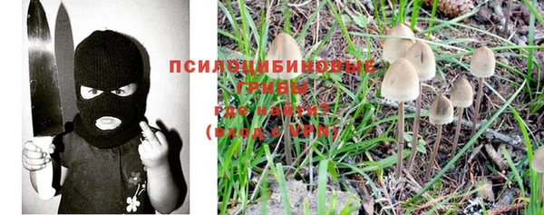 спиды Алзамай