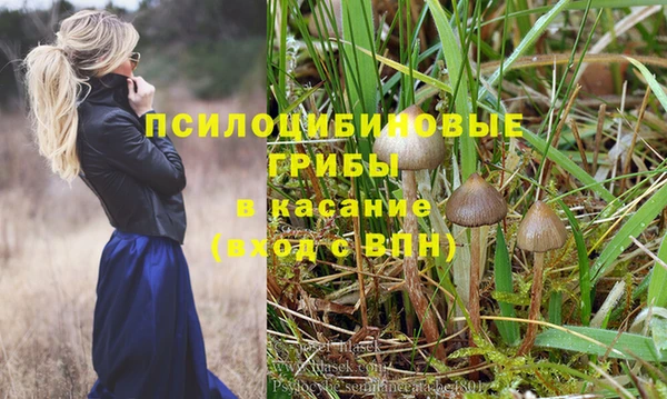 спиды Алзамай