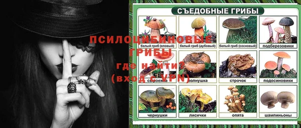 спиды Алзамай