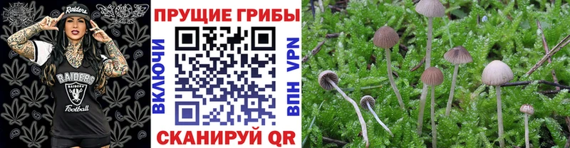 Галлюциногенные грибы Magic Shrooms  купить наркотики сайты  Омутнинск 
